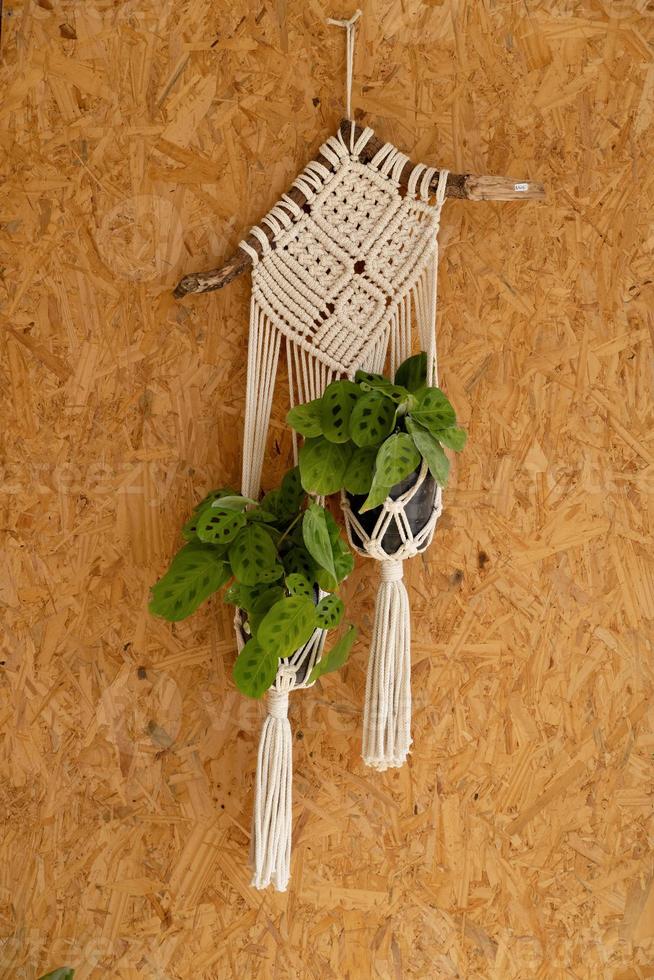 woven decoration for hanging plants on the wall photo