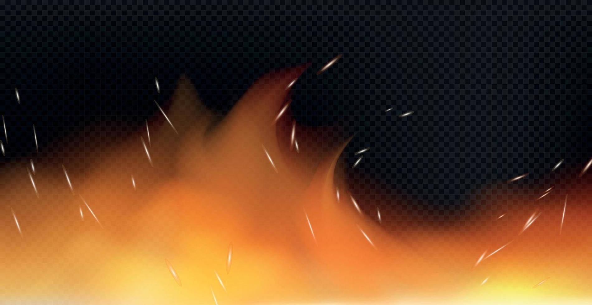 Realistic fire on a dark background - Vector