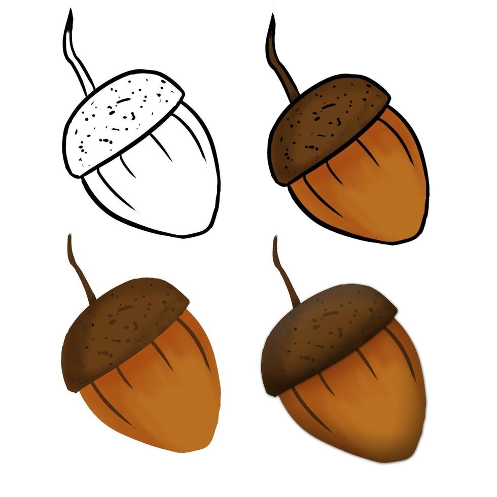 Hand drawn acorn illustration isolated in a white background vector