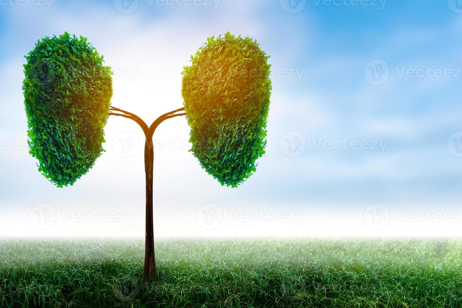 Illustration of lung tree .Environment and Medicine photo
