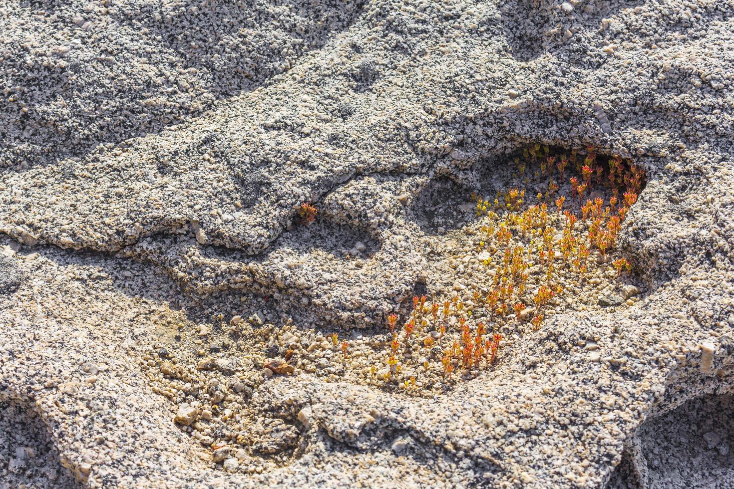 Boulders rocks with orange red moss lichen Kos Island Greece. photo