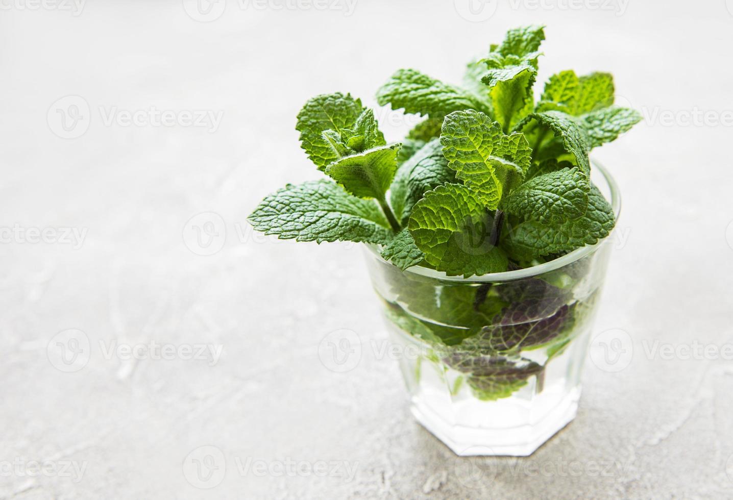 paquete de ramitas de menta orgánica fresca foto