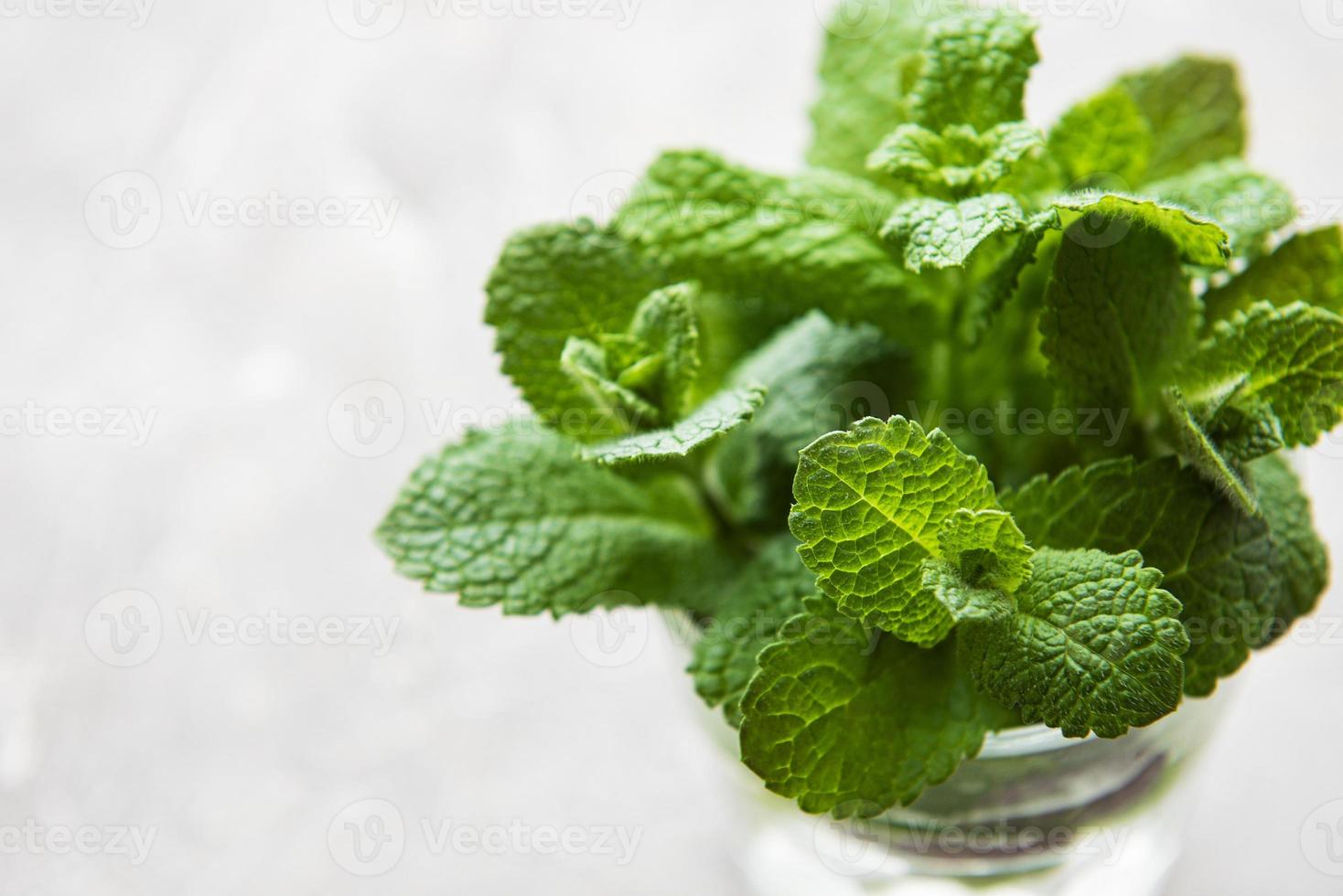 paquete de ramitas de menta orgánica fresca foto