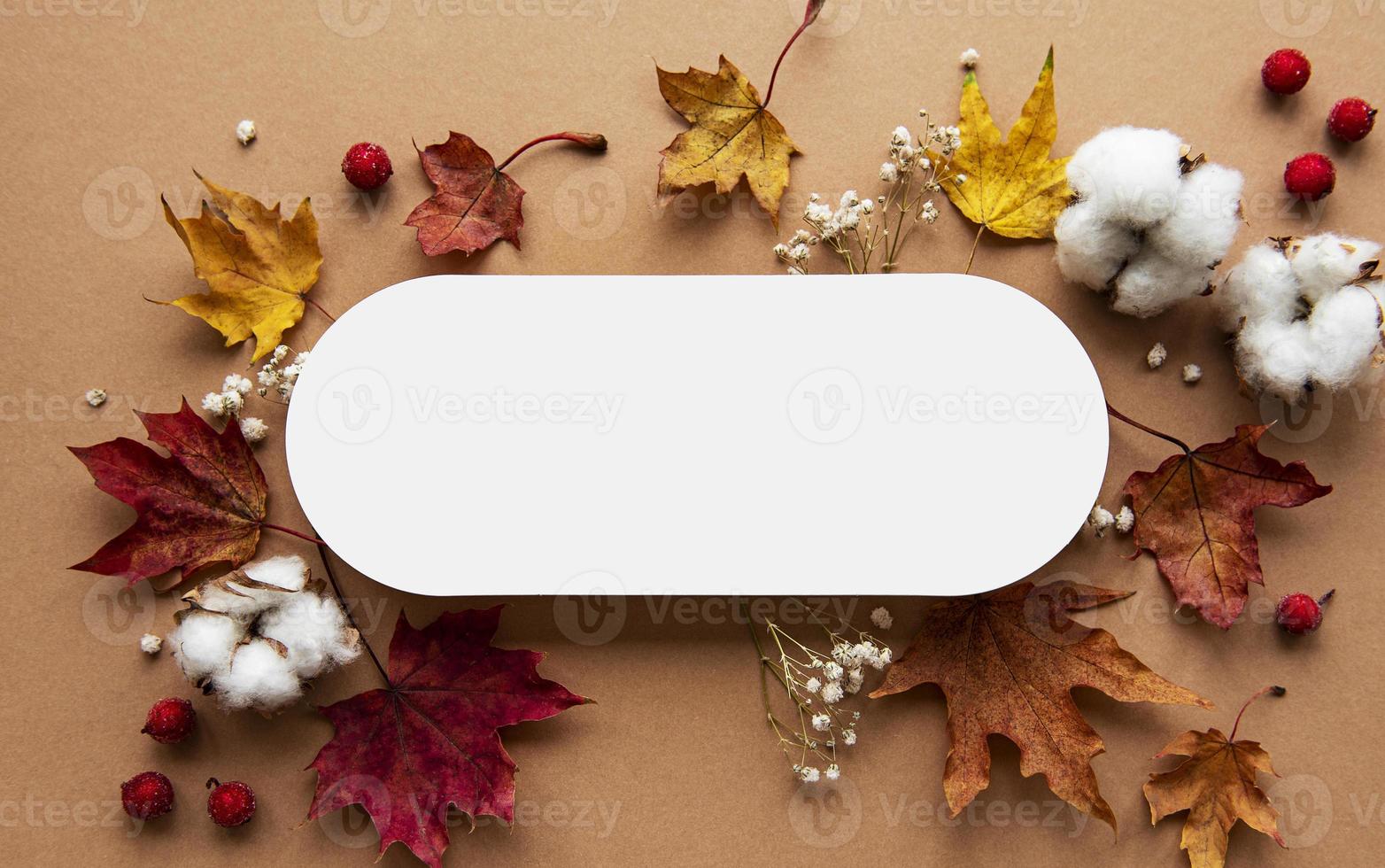 Autumn composition. Paper blank, dried flowers and leaves photo