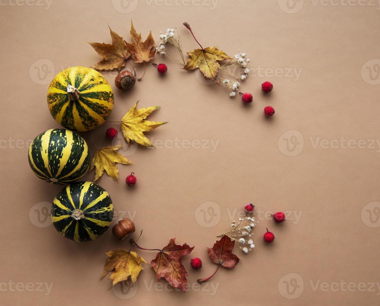 decoración de otoño con calabazas y hojas secas. foto