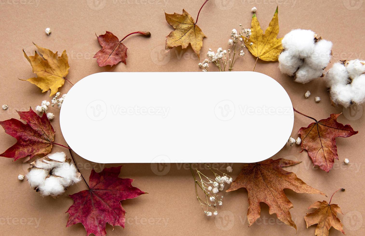 Autumn composition. Paper blank, dried flowers and leaves photo