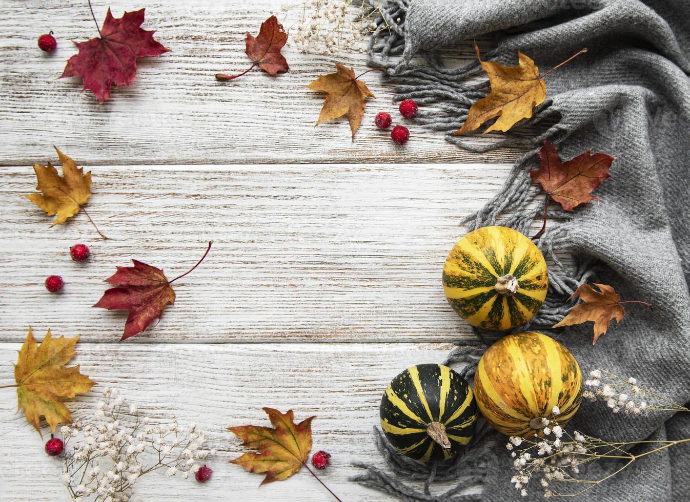 Autumn maple leaves, pumpkins and woolen scarf on a wooden background. photo