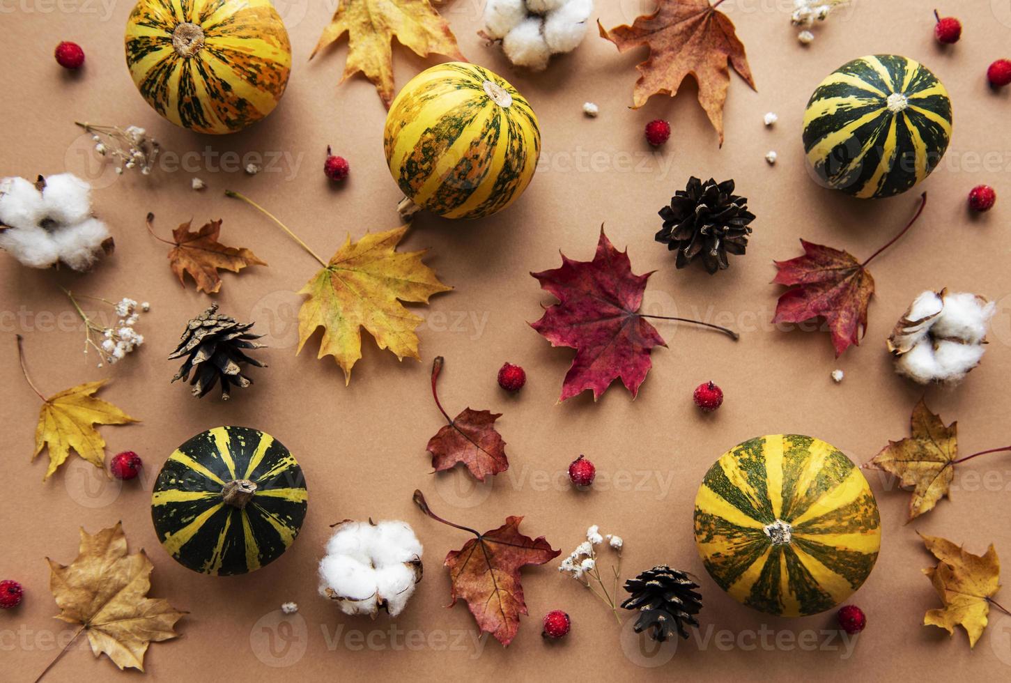 Autumn decoration with pumpkins and dry leaves photo