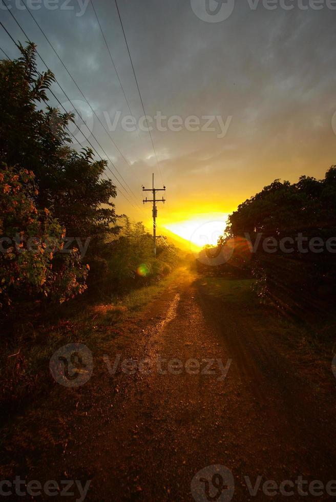 la luz del sol del atardecer y un camino de tierra en el campo foto