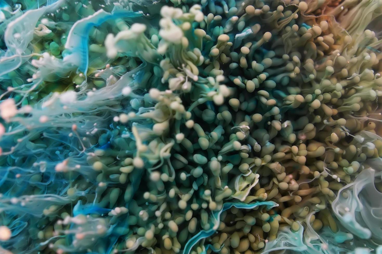 Epoxy Resin Petri Dish Art photo
