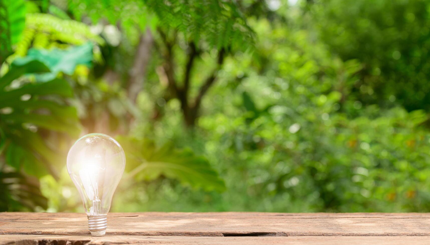 Concept Idea Light Bulb Emitting Bokeh Background photo