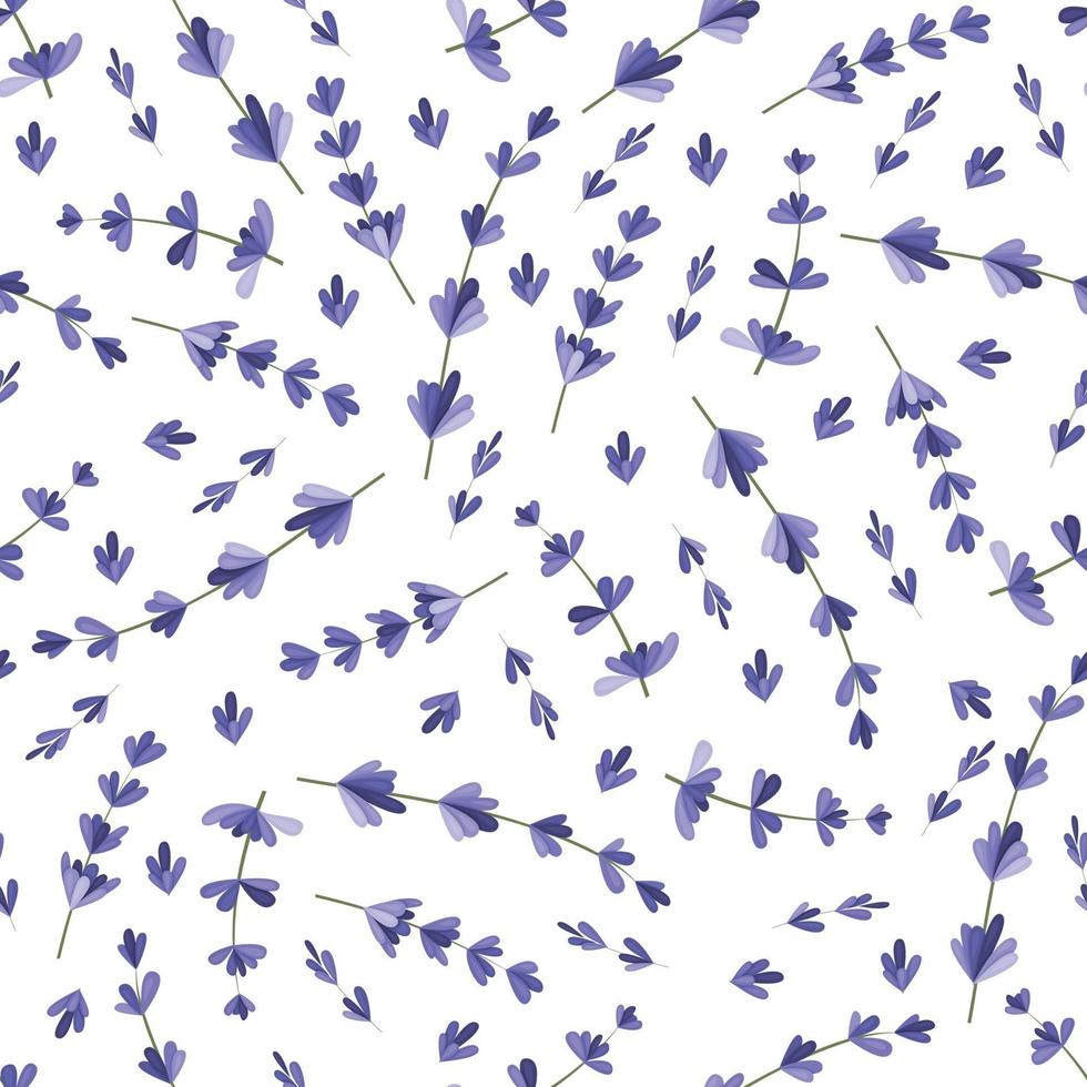 Seamless pattern with lavender branches. vector