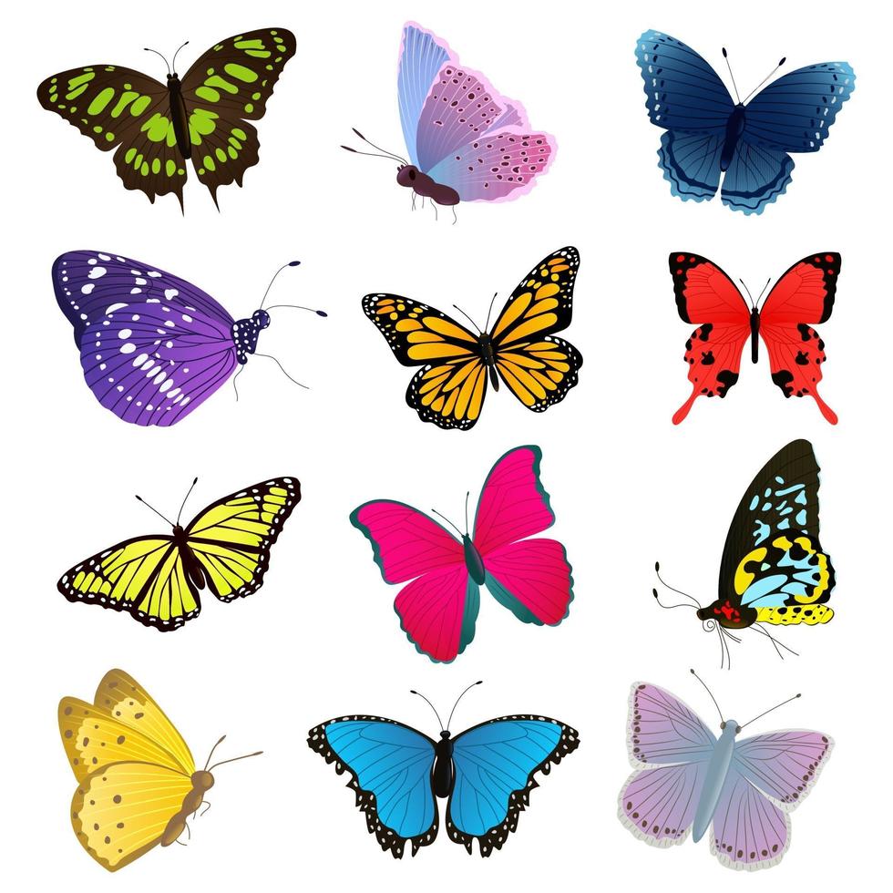 Set of multicolored butterflies. vector
