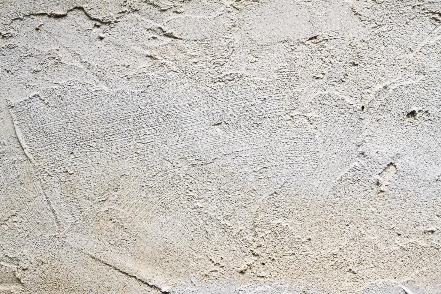 cement wall texture photo