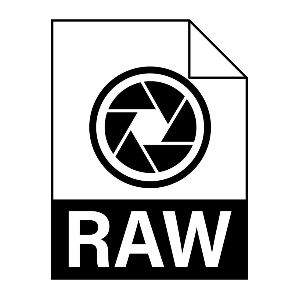 Modern flat design of RAW file icon for web vector