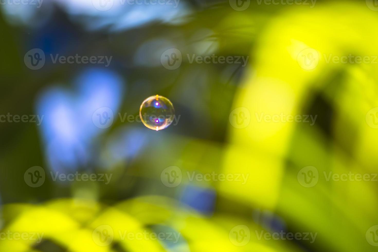 burbujas de agua flotando y cayendo sobre hojas verdes foto