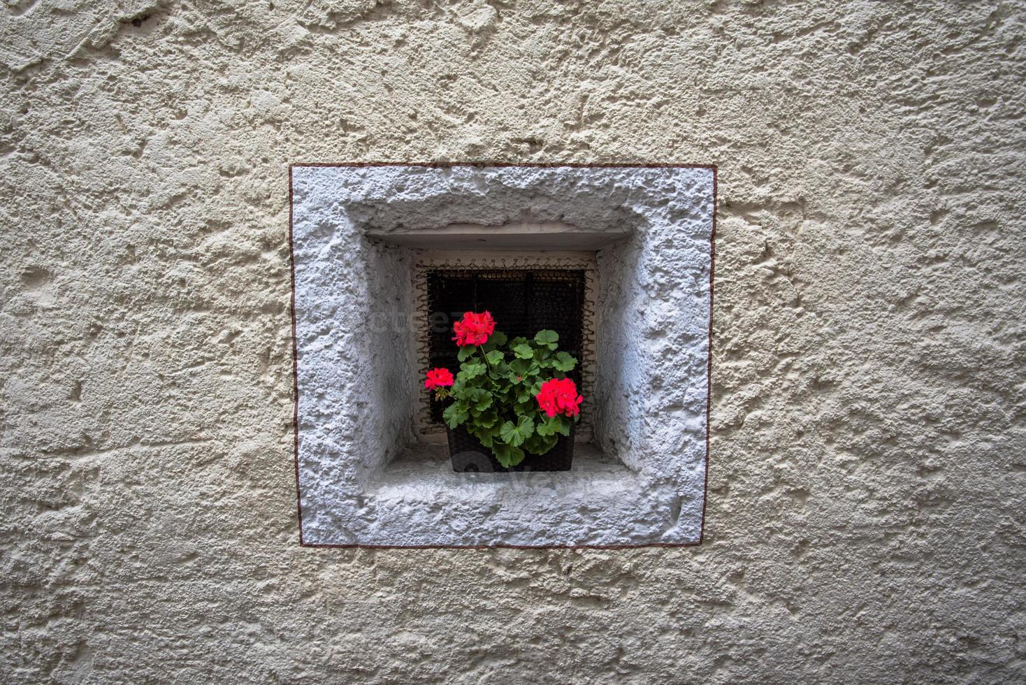 Jarrón de geranios en una pequeña ventana cuadrada en San Martino di Castrozza, Trento, Italia foto