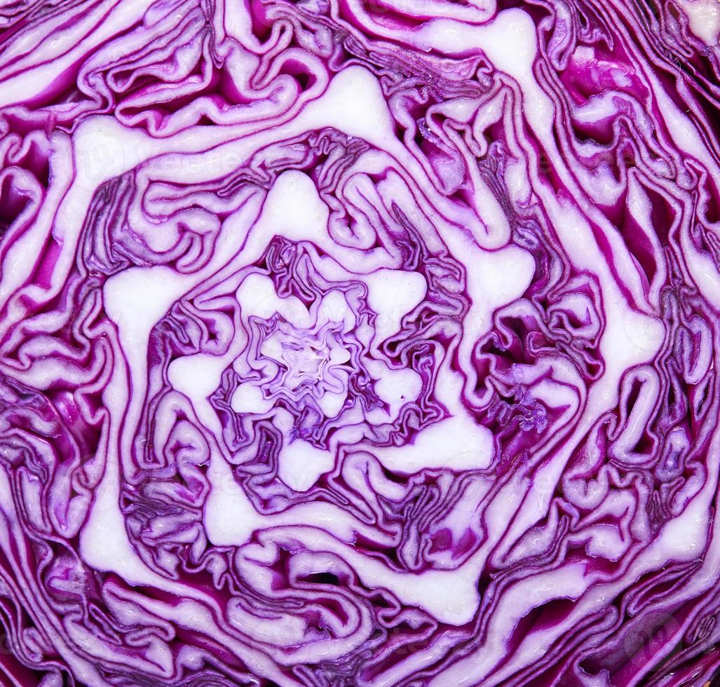 Half red cabbage in violet-white colors, background texture photo