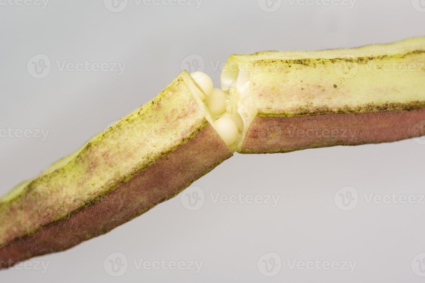 Gran okra cortada en el medio sobre un fondo blanco. foto