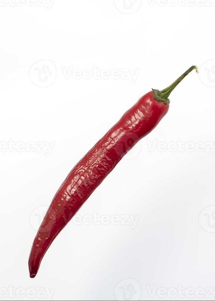 red chile hot pepper on white background photo