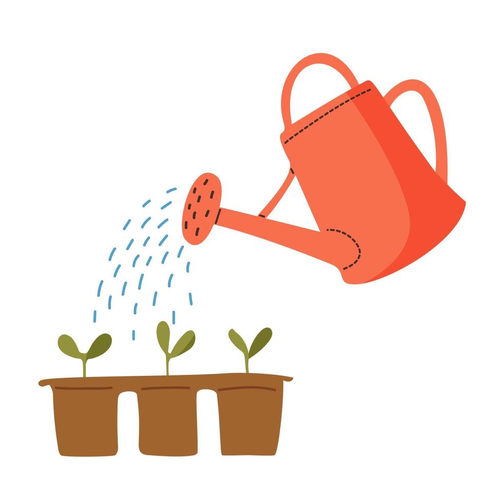 Seedlings are watered from a red watering can. Gardening tools. vector