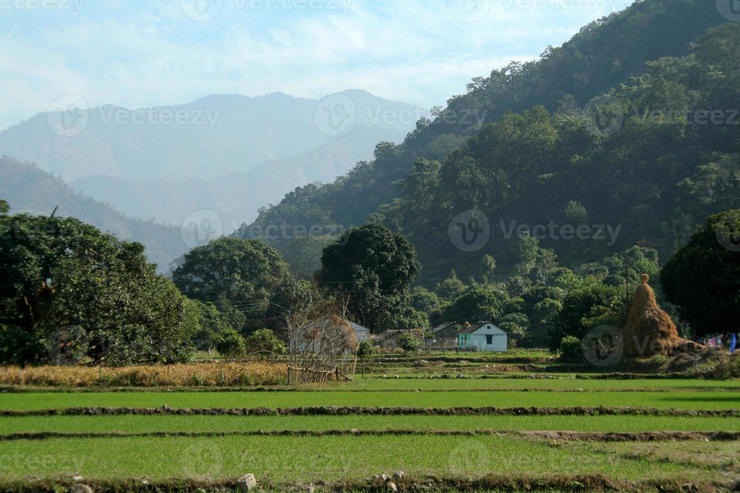 Houses at Mountain Foot photo