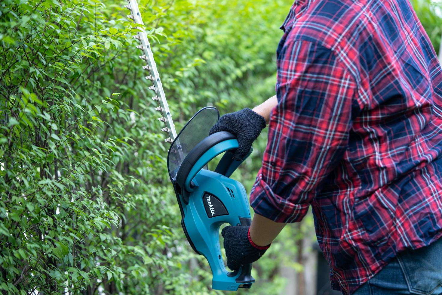 Jardinero sosteniendo un cortasetos eléctrico para cortar la copa del árbol foto