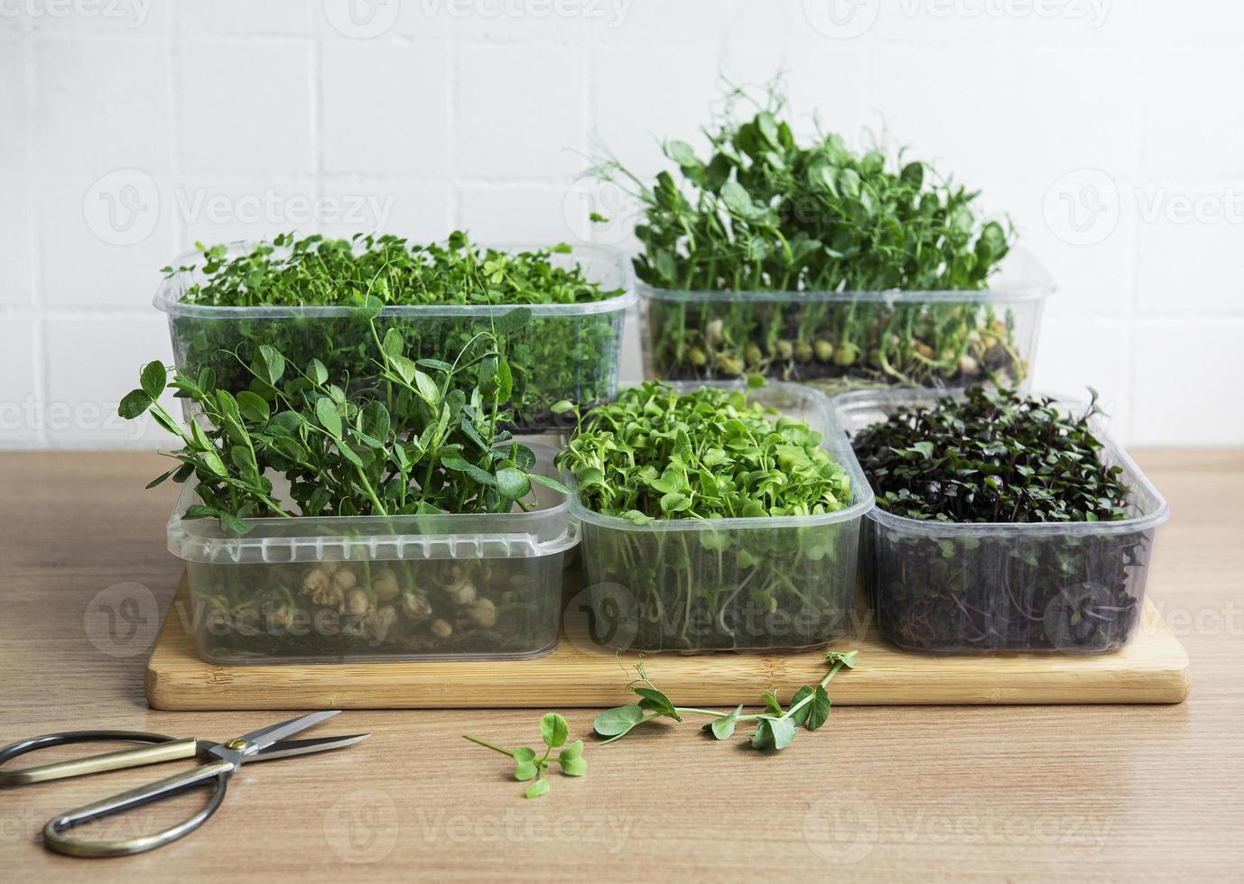 Surtido de micro greens en mesa de madera foto