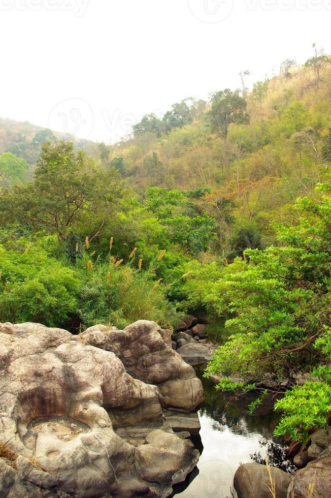 Watercourse in dry evergreen forest photo