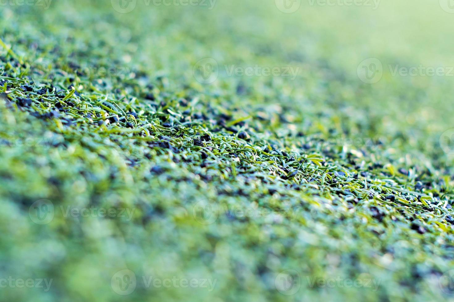 Plastic artificial grass and the rubber pellets on school yard photo