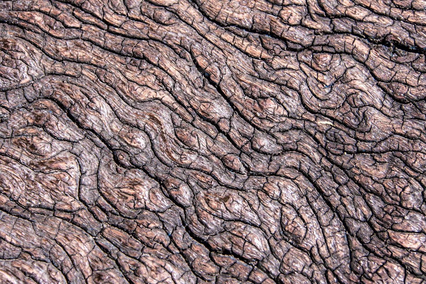 Texture of old stump wood photo