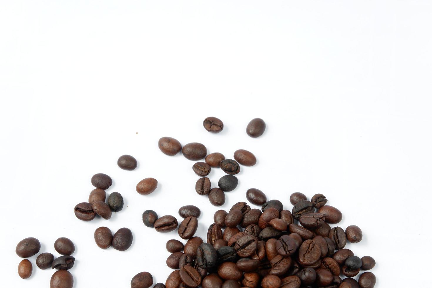 Coffee beans isolated on a white background photo