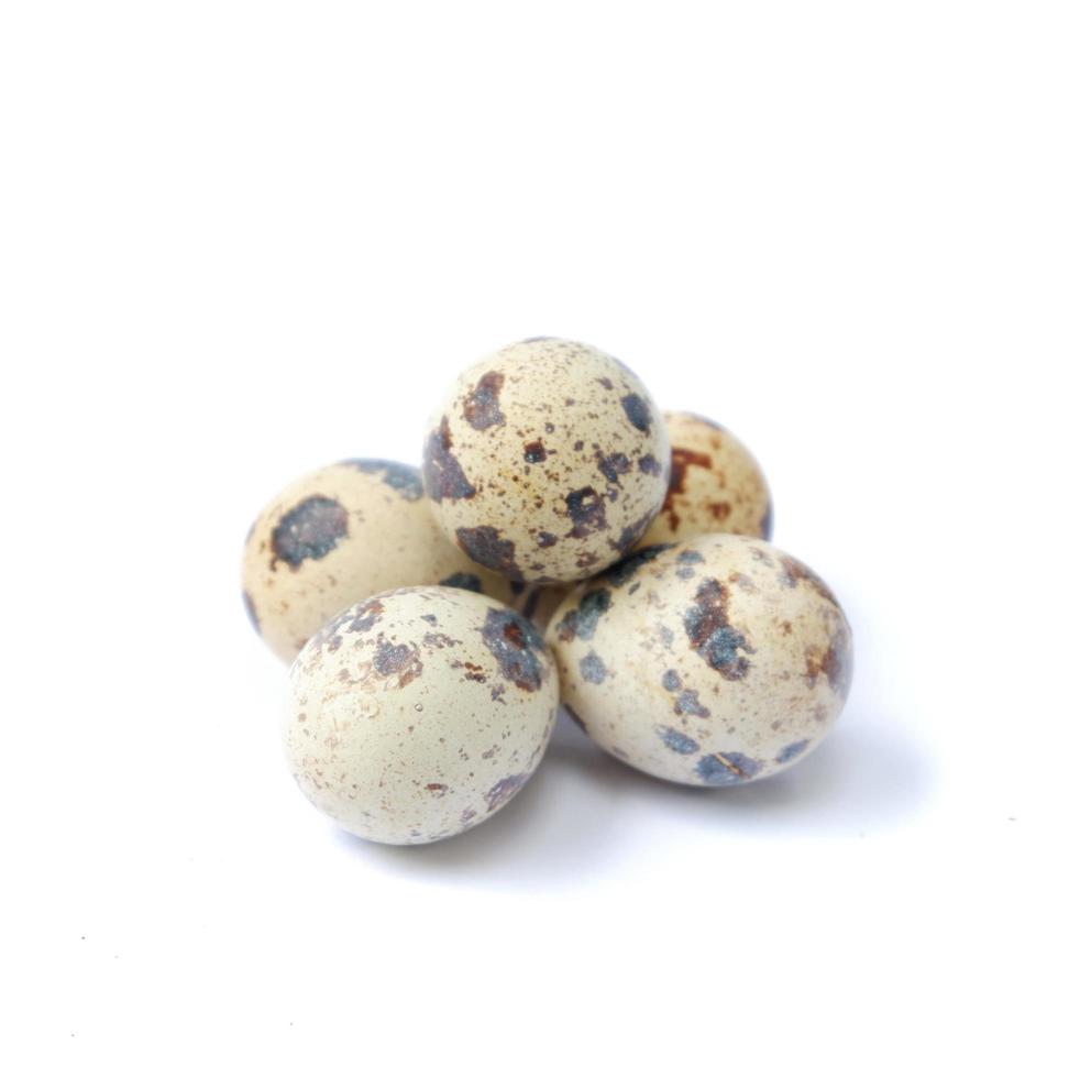 Quail eggs isolated on a white background photo