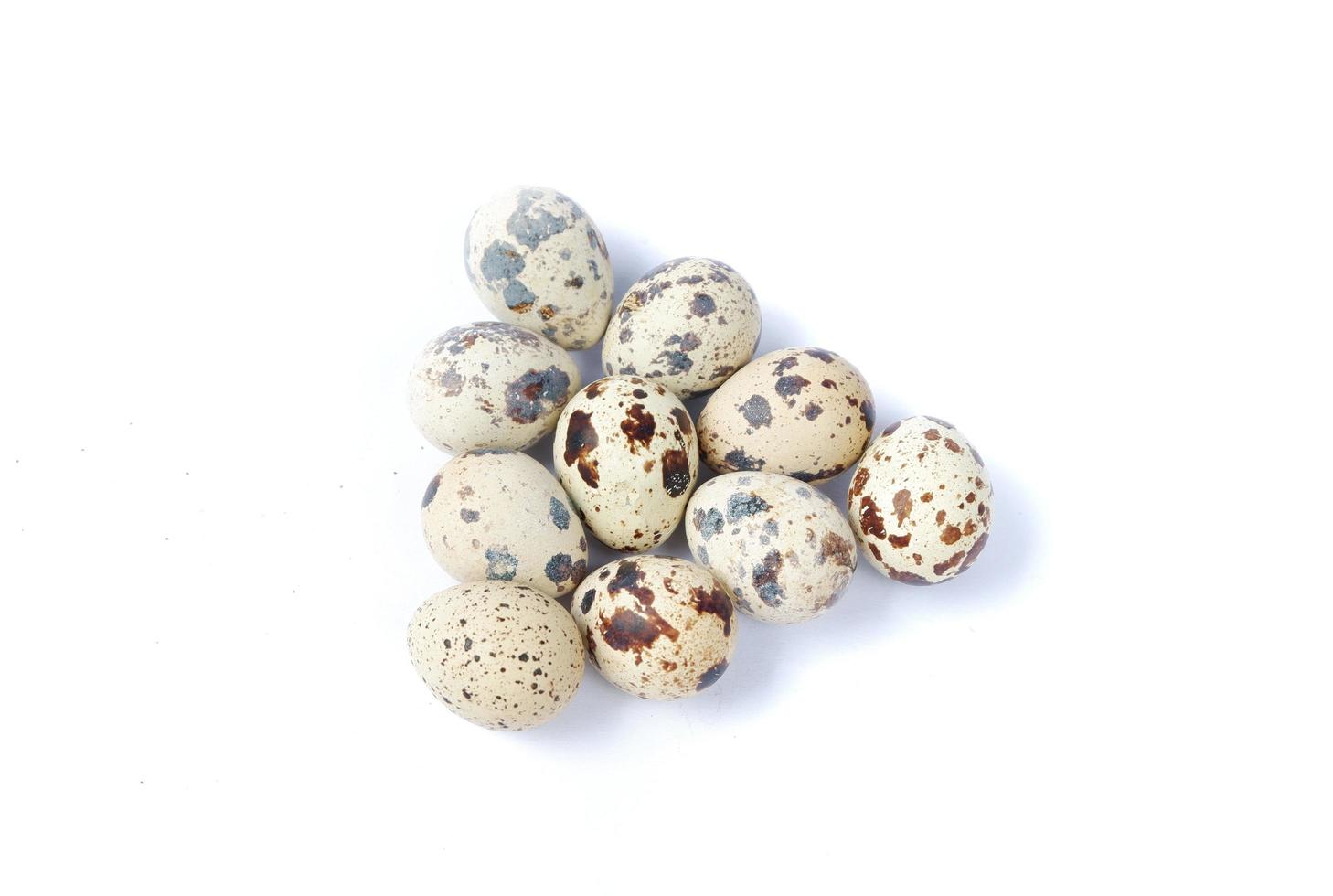Quail eggs isolated on a white background photo
