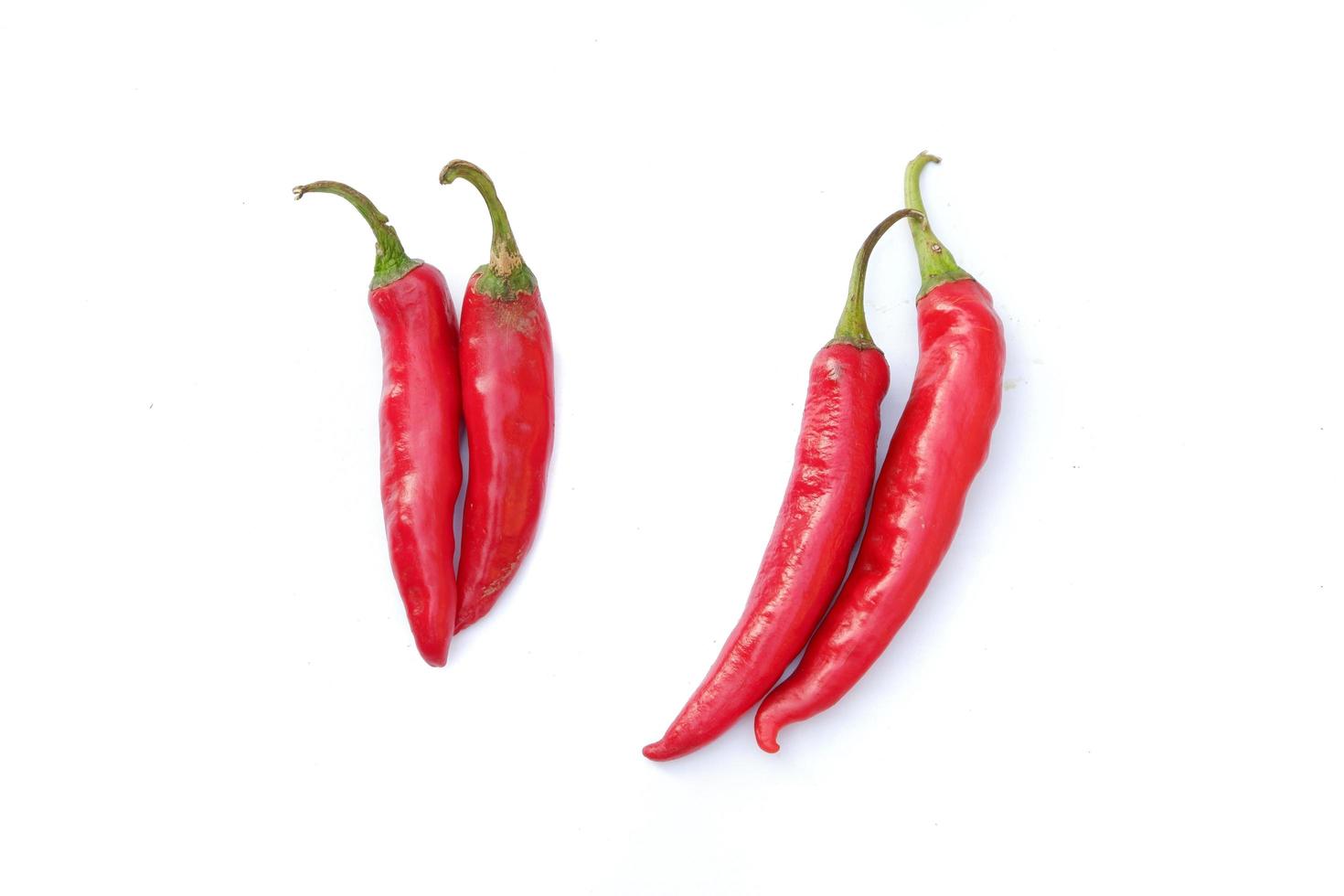 Red chili isolated on a white background photo