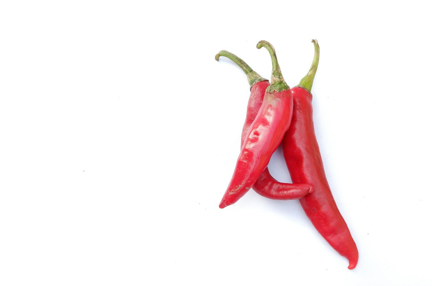 Red chili isolated on a white background photo