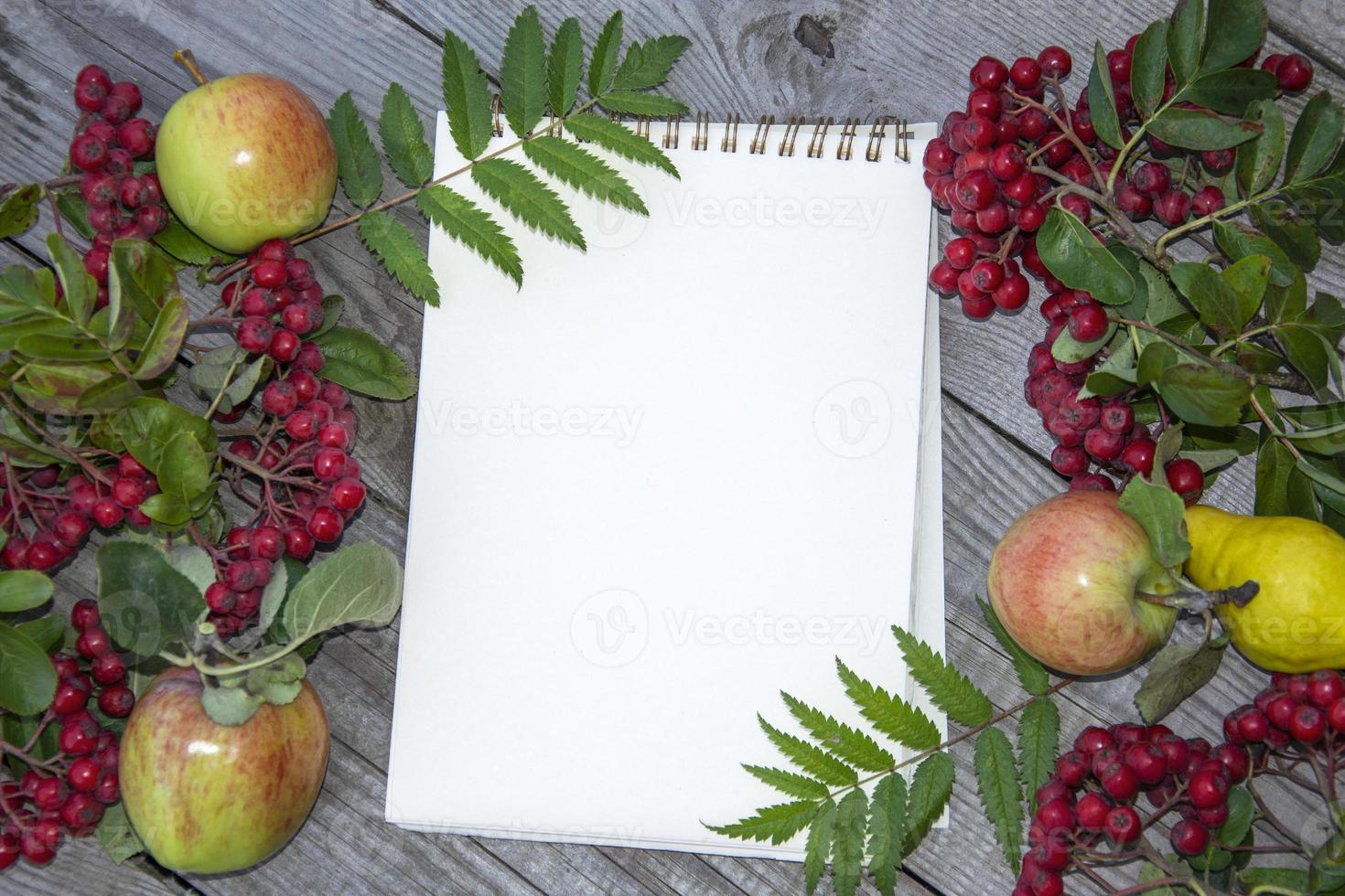 Rayayuina leaves on a white sheet. Notepad on a wooden background. photo