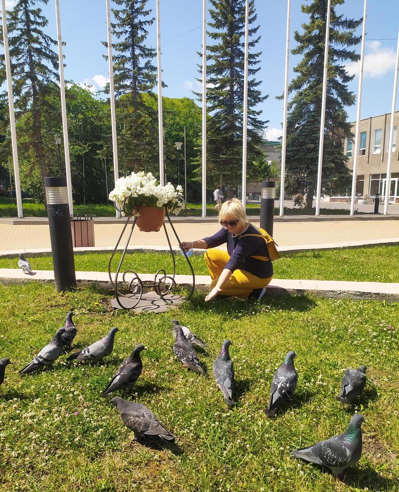 la mujer está dando de comer a las palomas. los pájaros comen pan rallado foto