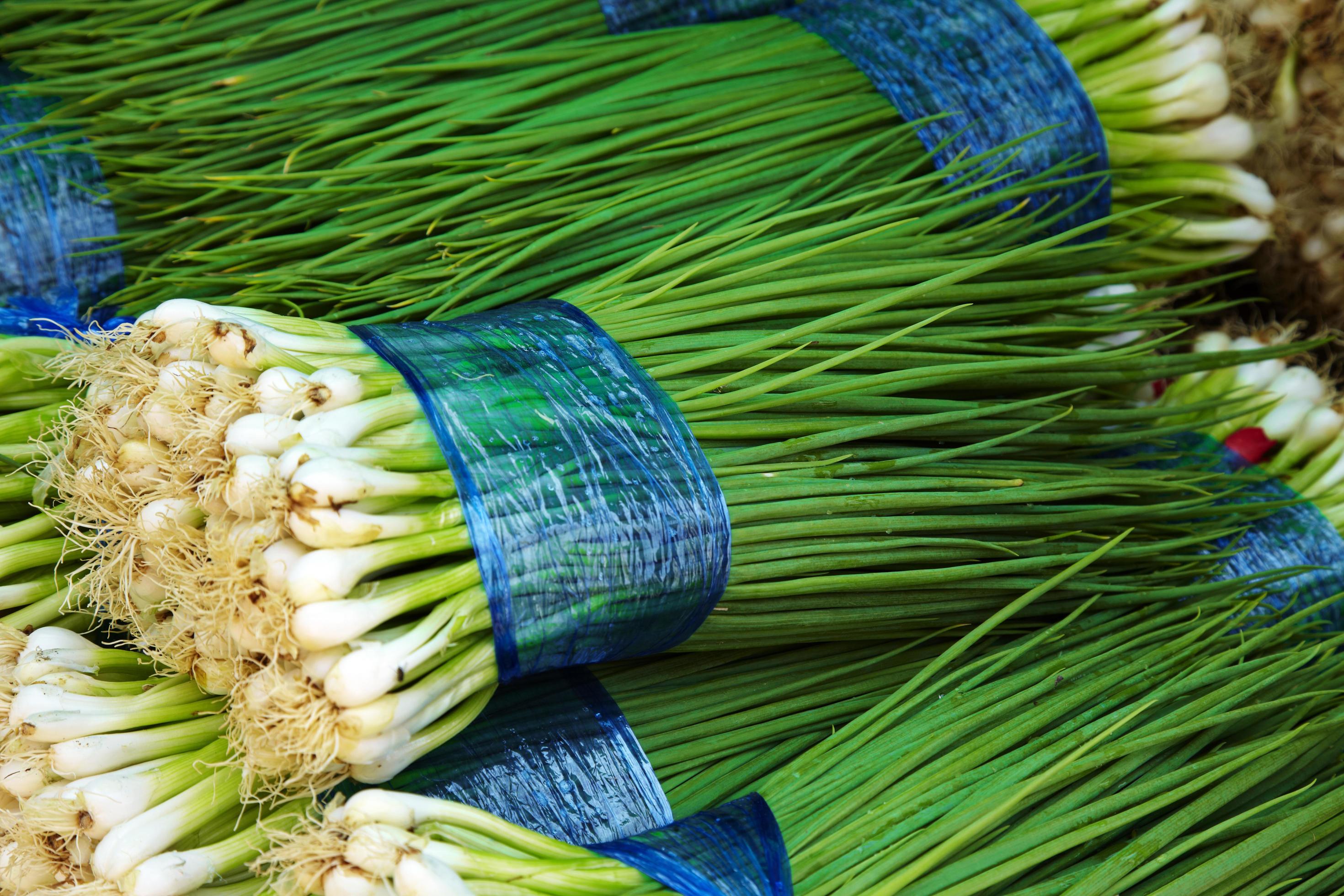 Many onion leave in Thai market 3405952 Stock Photo at Vecteezy