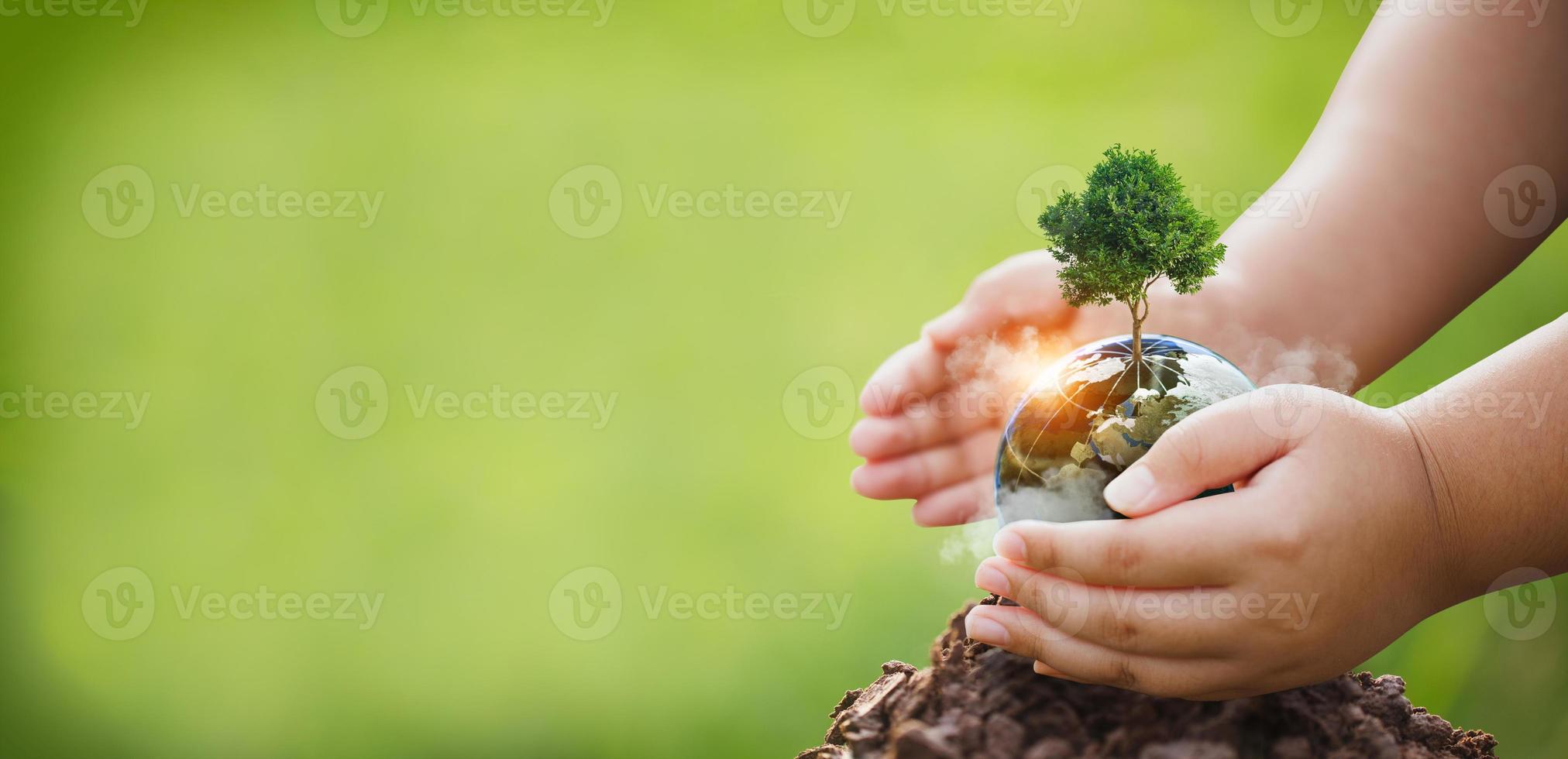 árbol de concepto de csr con globo foto