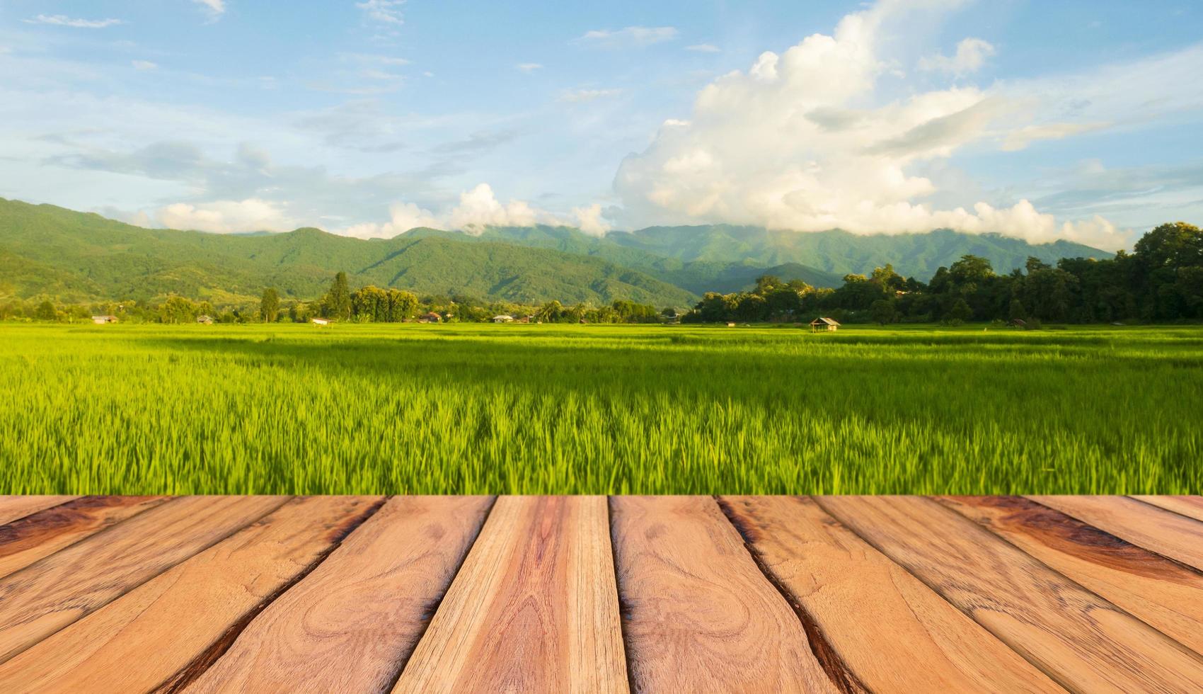 Wooden floor rice field landscape beautiful natural scenery photo