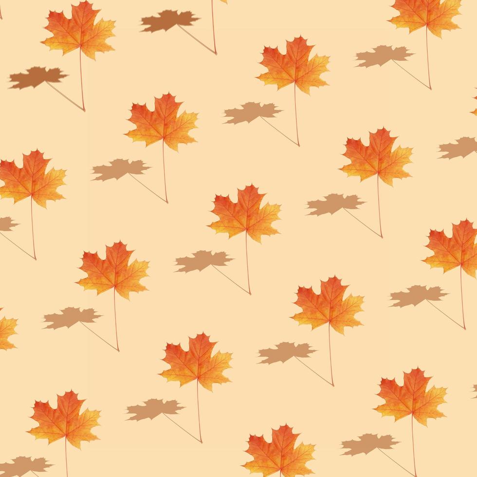 Pattern autumn maple leaf orange-red on orange background photo