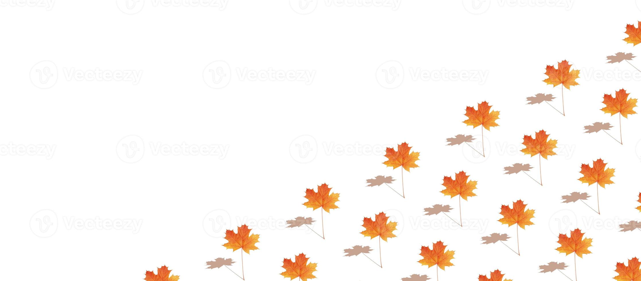 Pattern autumn maple leaf banner photo