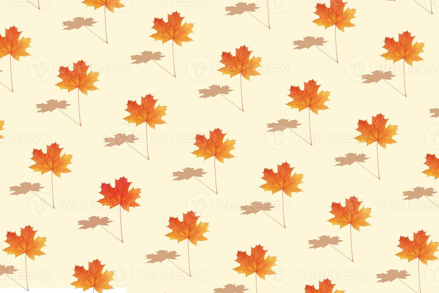 Autumn creative pattern with maple leaf photo