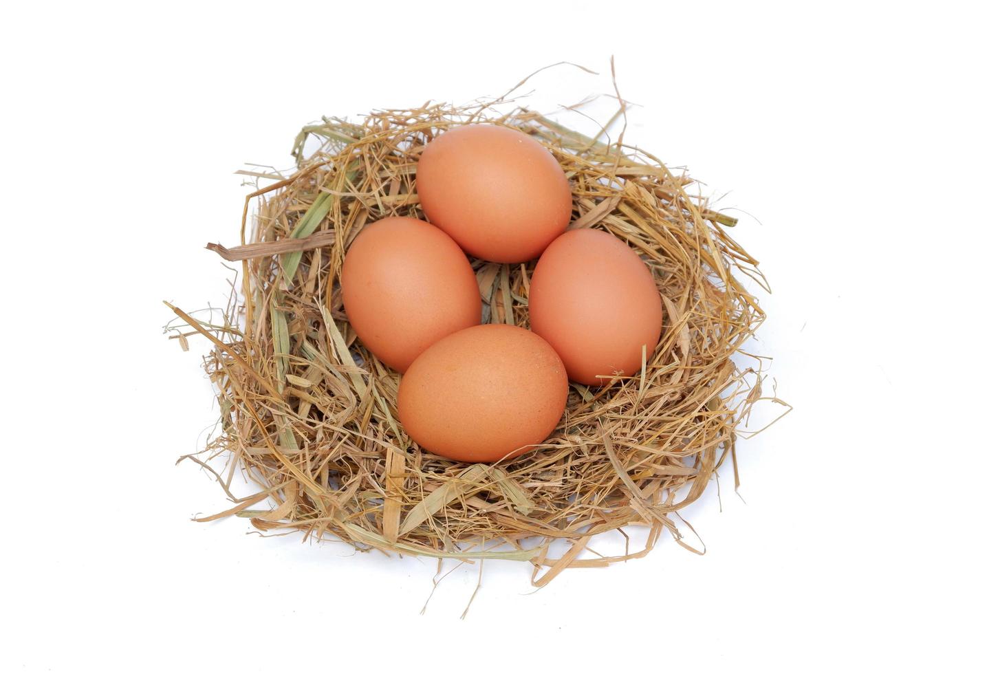 Chicken eggs in the nest isolated on a white background photo