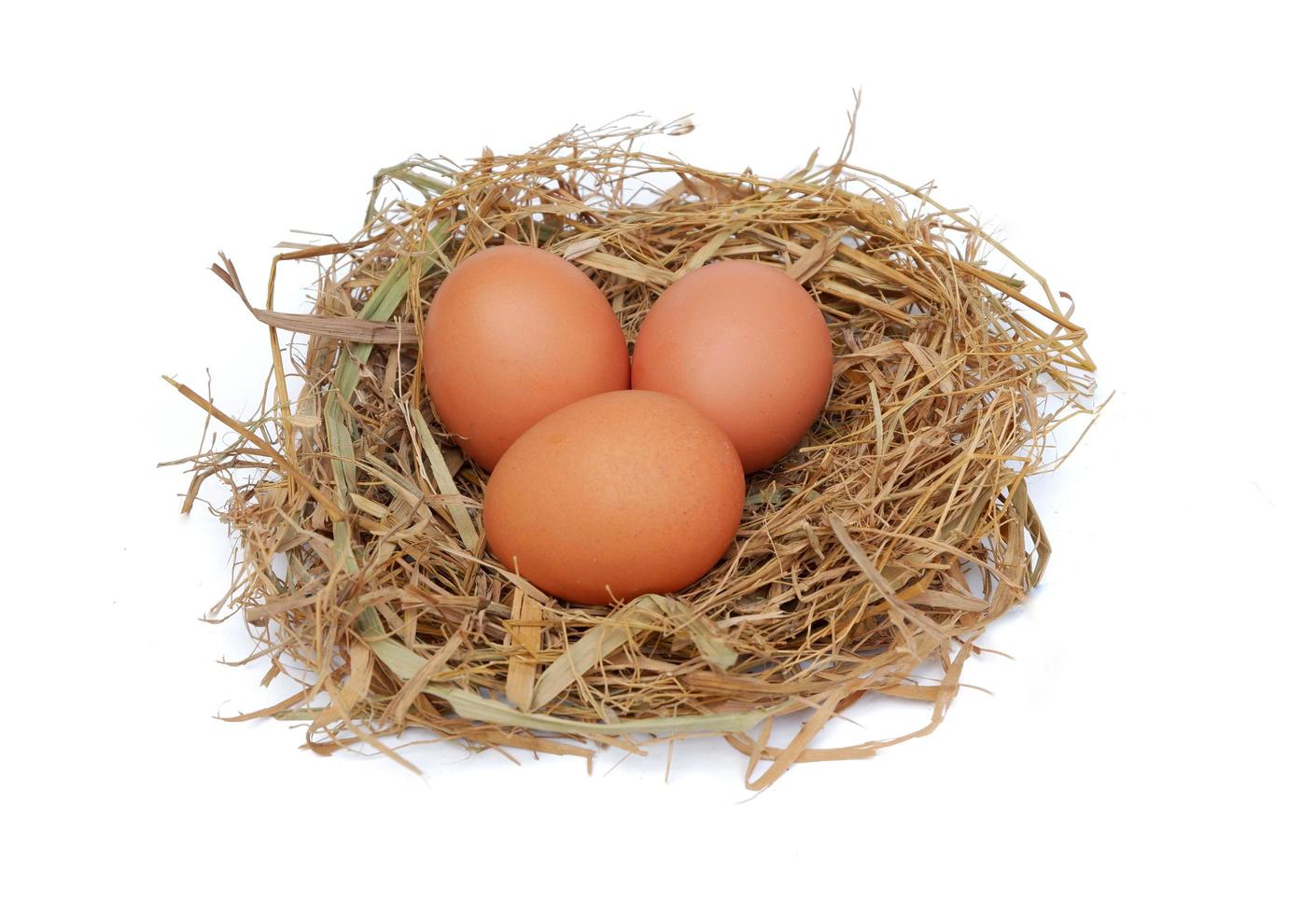 Huevos de gallina en el nido aislado sobre un fondo blanco. foto