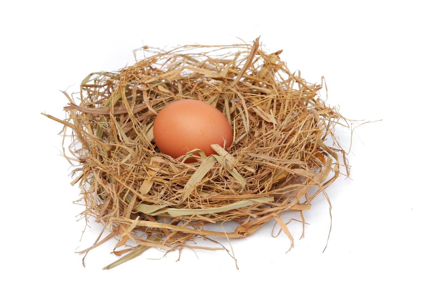 Chicken eggs in the nest isolated on a white background photo