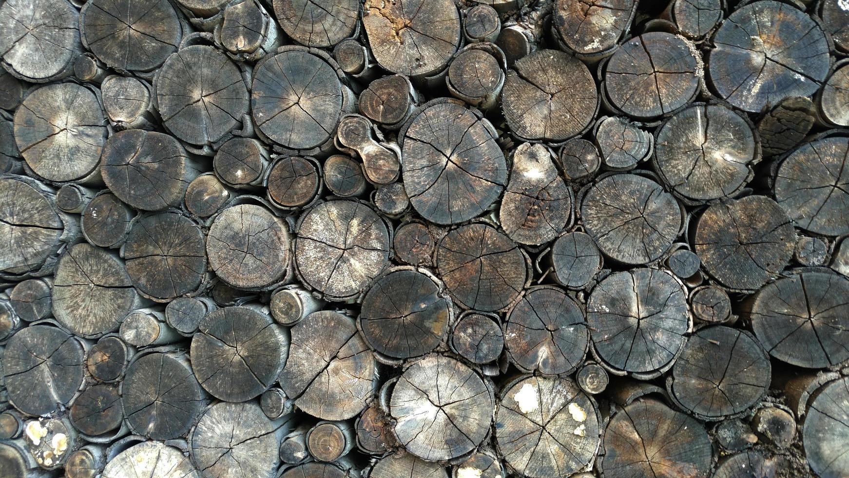 Old dirt tree stumps background photo