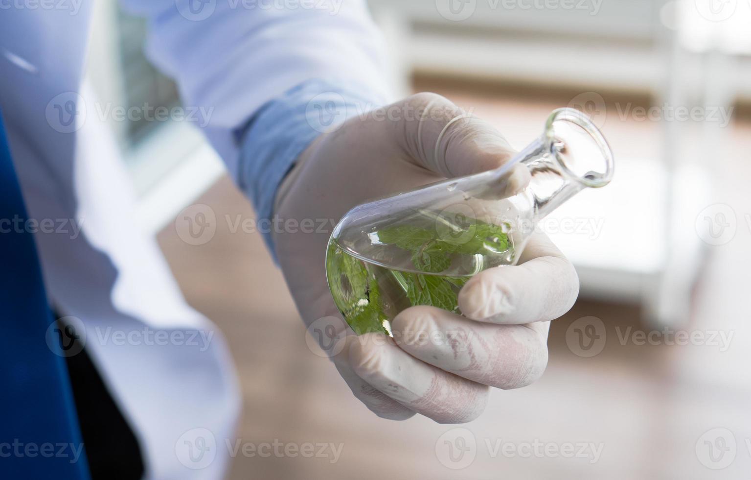 Scientist doing experiment on plant to make new food product photo