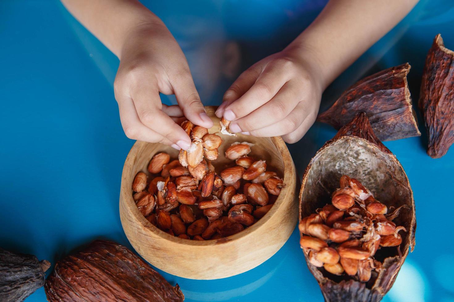inspect cocoa beans for sorting photo